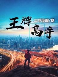 王牌高手 王牌高手