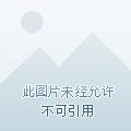 拿钱上恋综而已,都选我干嘛 拿钱上恋综而已,都选我干嘛