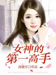 女神的第一高手 女神的第一高手