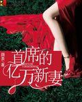 首席的亿万新妻 首席的亿万新妻