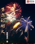 首尔的烟火 首尔的烟火
