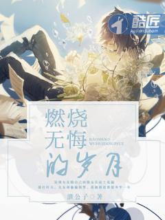 燃烧无悔的岁月 燃烧无悔的岁月