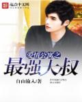 爱情公寓之最强大叔 爱情公寓之最强大叔