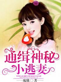 通缉神秘小逃妻 通缉神秘小逃妻