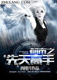 都市之先天高手 都市之先天高手