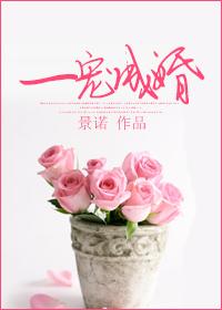 一宠成婚 一宠成婚