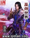 巫师世界 巫师世界