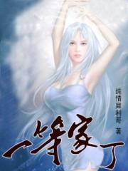 一等家丁 一等家丁
