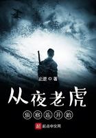 从夜老虎侦察连开始 从夜老虎侦察连开始