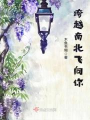 跨越南北飞向你 跨越南北飞向你