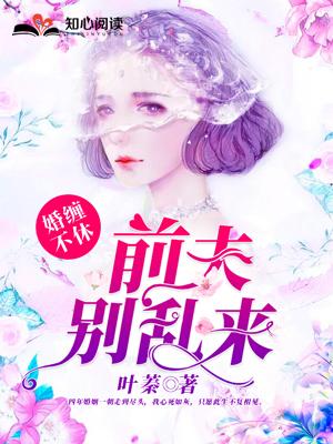 婚缠不休:前夫,别乱来 婚缠不休:前夫,别乱来